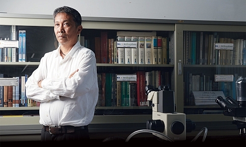 วิกฤตเสือโคร่งไทย นักล่าแห่งพงไพรกับเส้นทางของผู้พิทักษ์ “ดร.ศักดิ์สิทธิ์ ซิ้มเจริญ”